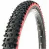Panaracer Fire XC ASB Tyre