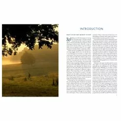 Wild Things Wild Swimming Walks - London And South East -Bikes Shop Wild Things Wild Swimming Walks London and South East Books Neutral AW22 9781910636015 1