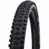 Schwalbe Big Betty Performance MTB Tyre